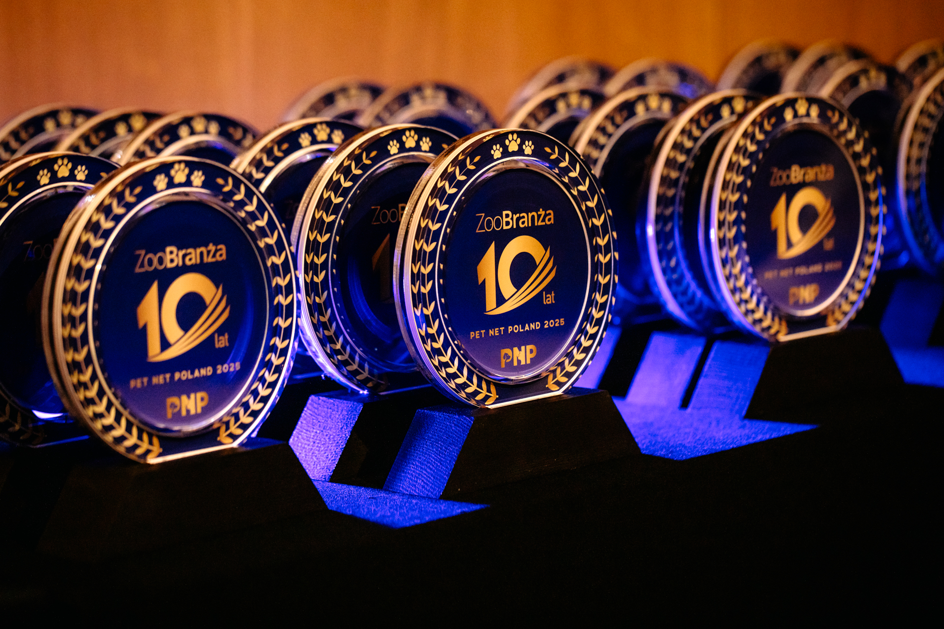 569383287_1148142987512207_6987049976940908826_n