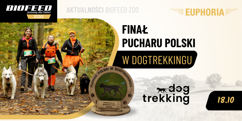  dogtrekking_podsumowanie_aktualnosci
