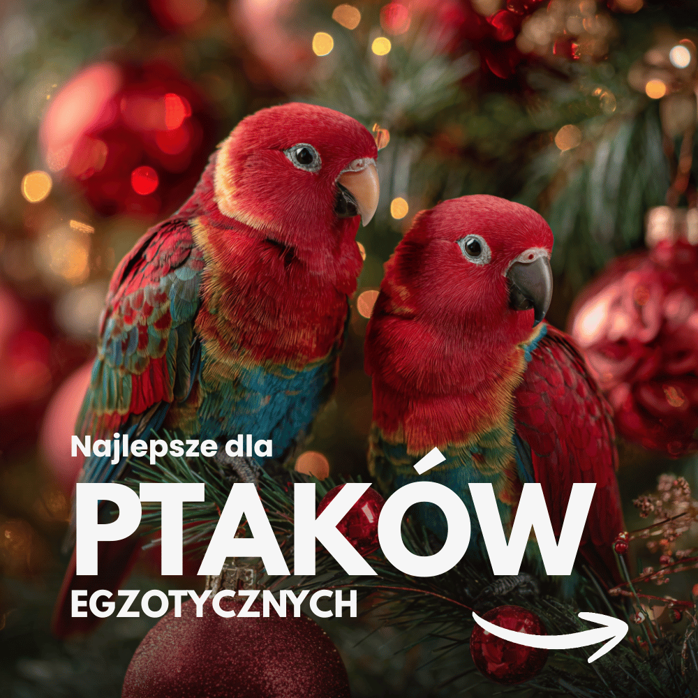 [BIOFEEDZOO] PTAKI EGZOTYCZNE