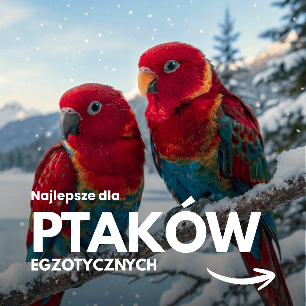 [BIOFEEDZOO] PTAKI EGZOTYCZNE