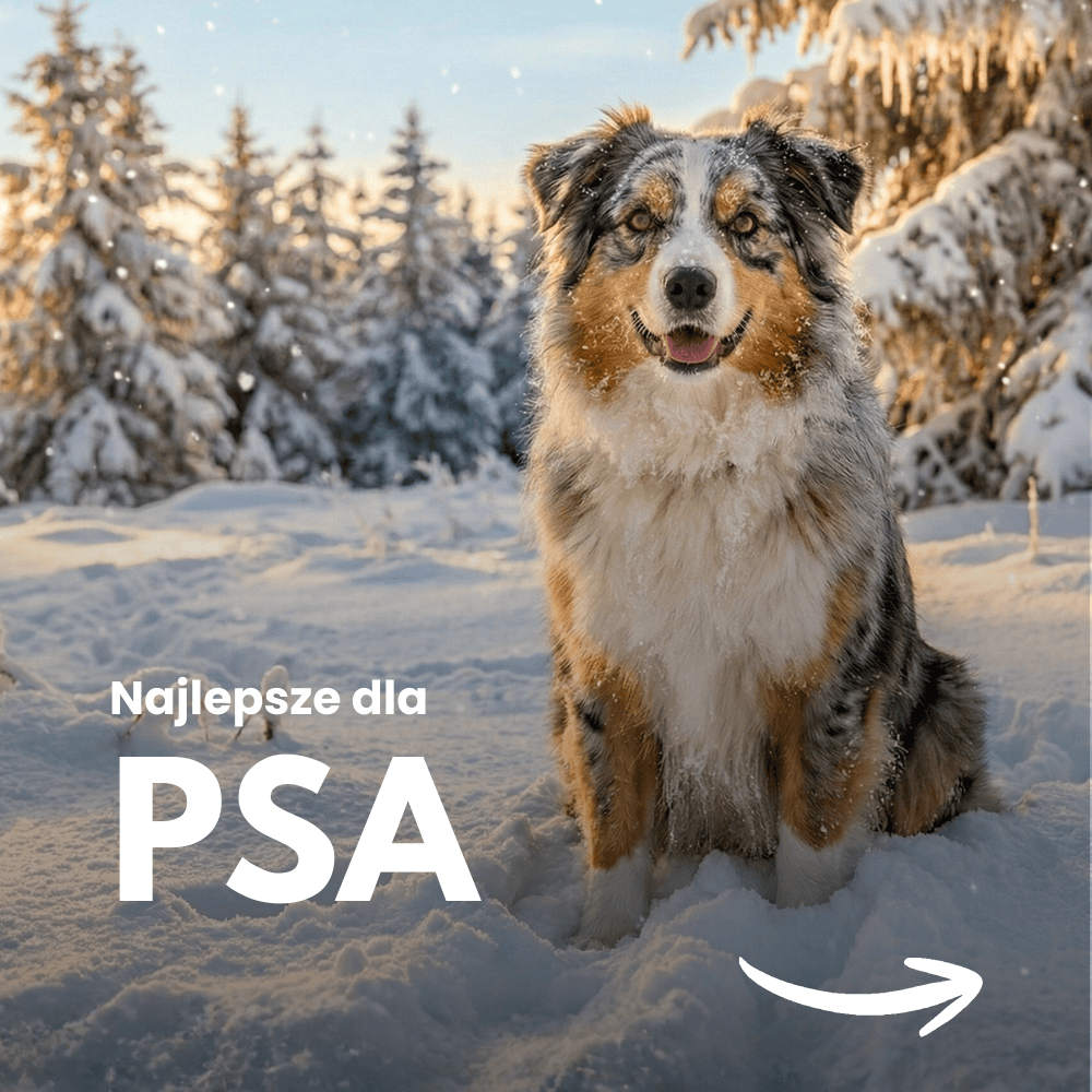 [BIOFEEDZOO] DLA PSÓW