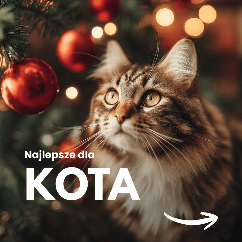 [BIOFEEDZOO] DLA KOTA