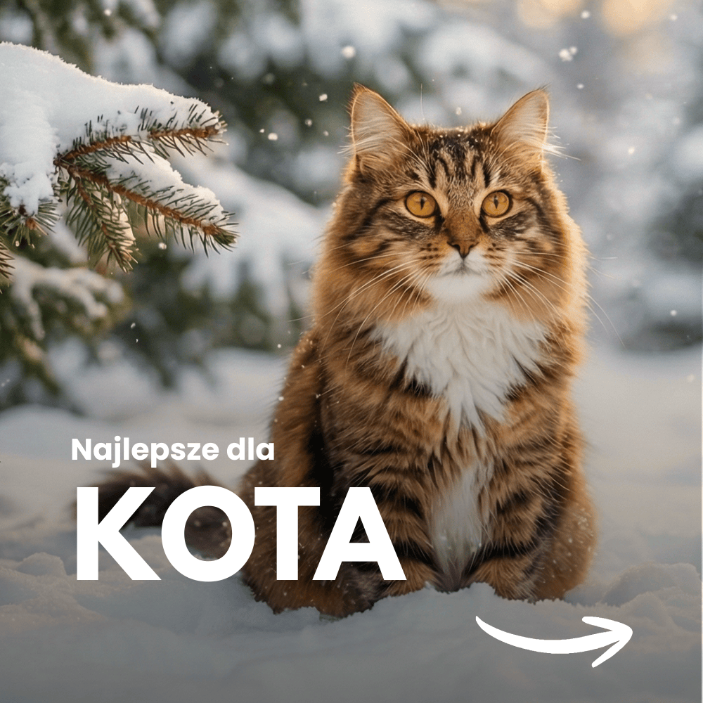 [BIOFEEDZOO] DLA KOTA