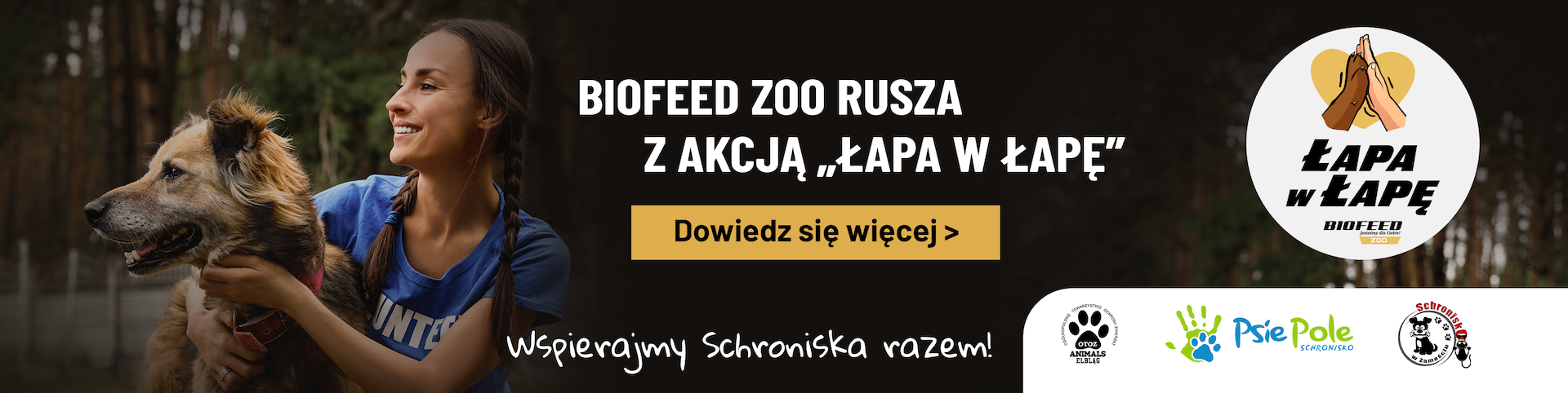 Łapa w Łapę - wspieramy schroniska