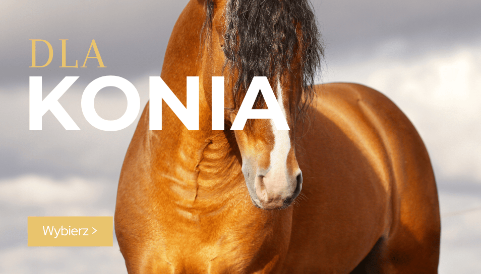 [HP] KONIE