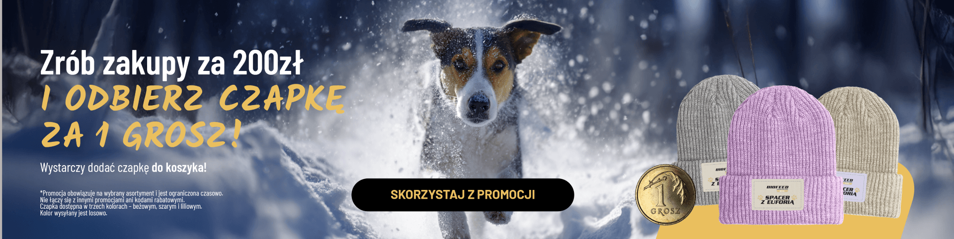 Łapa w Łapę - wspieramy schroniska