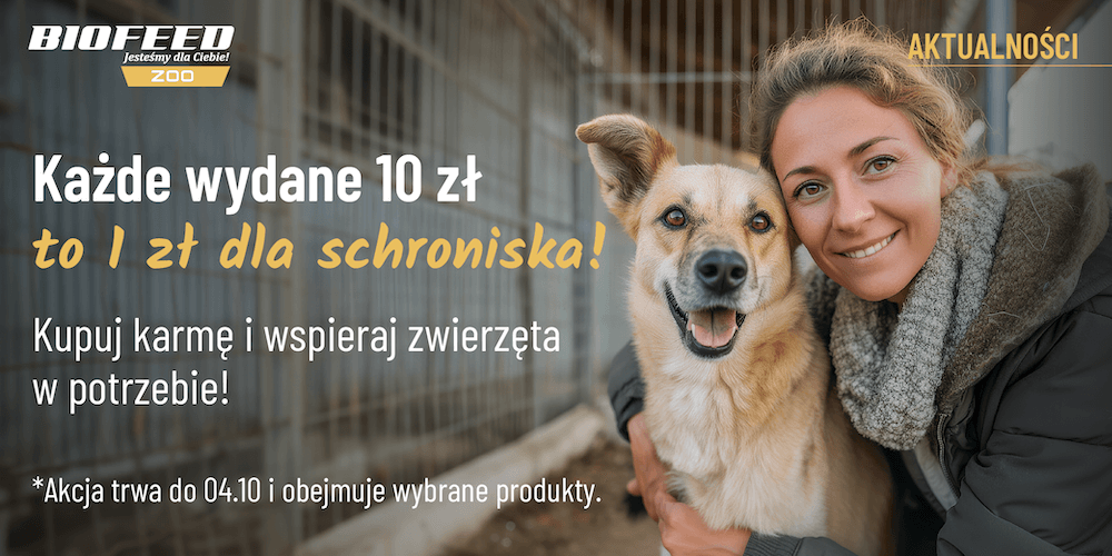 Świętujmy Światowy Dzień Zwierząt razem