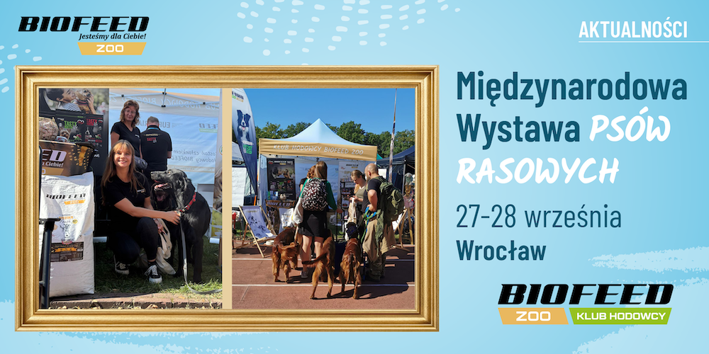 Międzynarodowa Wystawa Psów Rasowych – dziękujemy za spotkania!