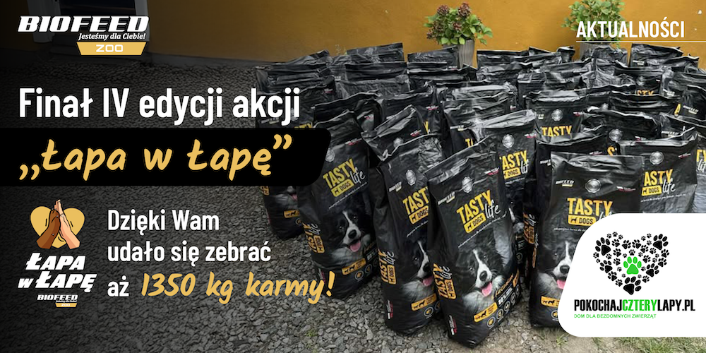 Finał IV edycji akcji „Łapa w łapę”