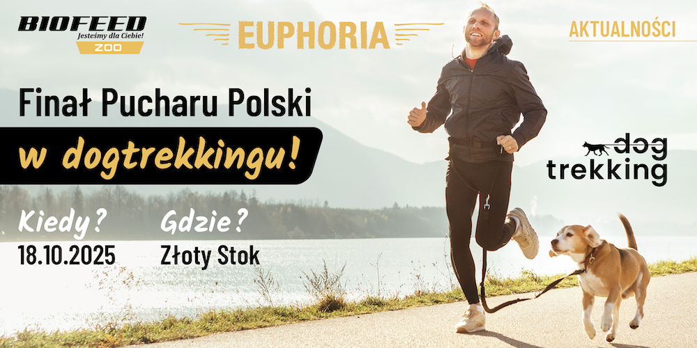 Finał Pucharu Polski w Dogtrekkingu 2025 w Złotym Stoku