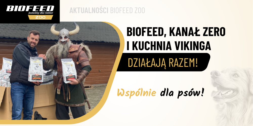Wspólnie dla psów — BIOFEED, Kanał Zero i Kuchnia Vikinga działają razem