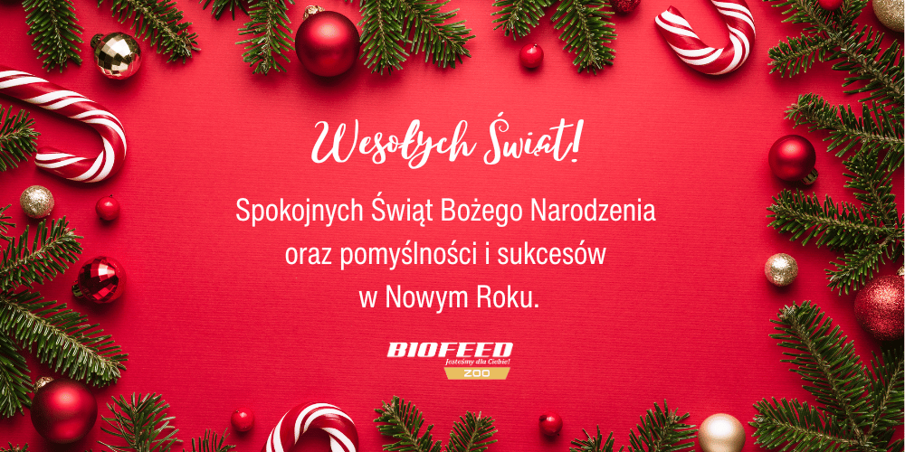 Wesołych Świąt Bożego Narodzenia oraz szczęśliwego Nowego Roku!