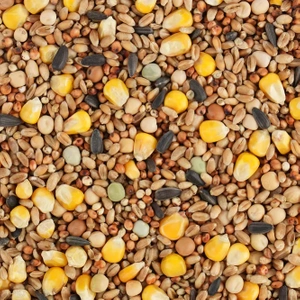 BIOFEED Karma dla gołębi CAŁOROCZNA 25 kg