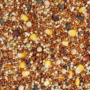 BIOFEED Karma dla gołębi ROZPŁODOWO-LOTOWA '14 (bez pszenicy) 25 kg