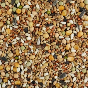 BIOFEED Karma dla gołębi JUNIOR ODCHOWOWA II (od 4 tygodnia do lotów) 25 kg