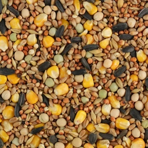 BIOFEED Karma dla gołębi BASIC PIERZENIOWA 25 kg