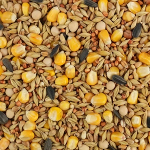 BIOFEED Karma dla gołębi ZIMOWA BASIC 25 kg