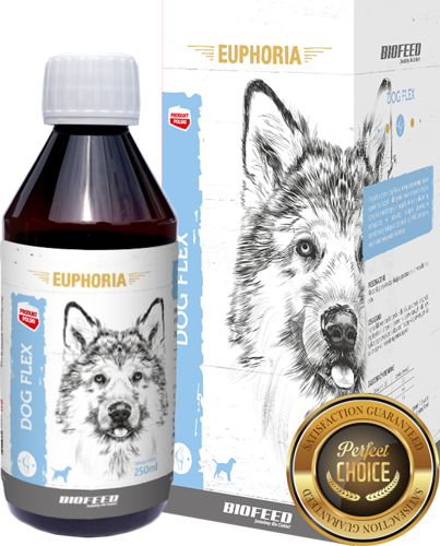 Preparat na stawy dla psa BIOFEED Euphoria Dog Flex 250 ml