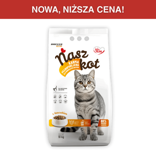 Sucha karma NASZ KOT z kurczakiem 10 kg