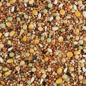 BIOFEED Karma dla gołębi KRÓTKODZIOBY (bez pszenicy) 25 kg