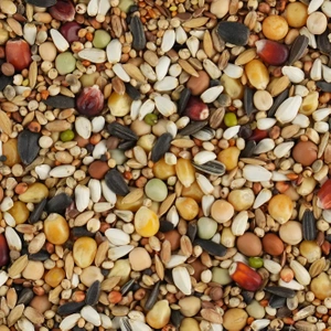 BIOFEED Karma dla gołębi LOTOWA EXCLUSIVE VARIA '24 25 kg