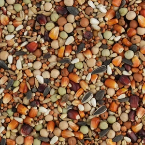 BIOFEED Karma dla gołębi ROZPŁODOWO-LOTOWA '19 (bez pszenicy) 25 kg