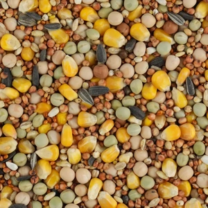 BIOFEED Karma dla gołębi BASIC (bez pszenicy) 25 kg