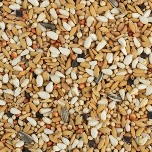 BIOFEED Karma dla gołębi DIETA MISTRZÓW '10 25 kg