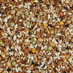 BIOFEED Karma dla gołębi BASIC JUNIOR ODCHOWOWY 0 25 kg